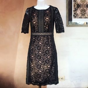 Antonio Melani black lace nude sheer illusion 0